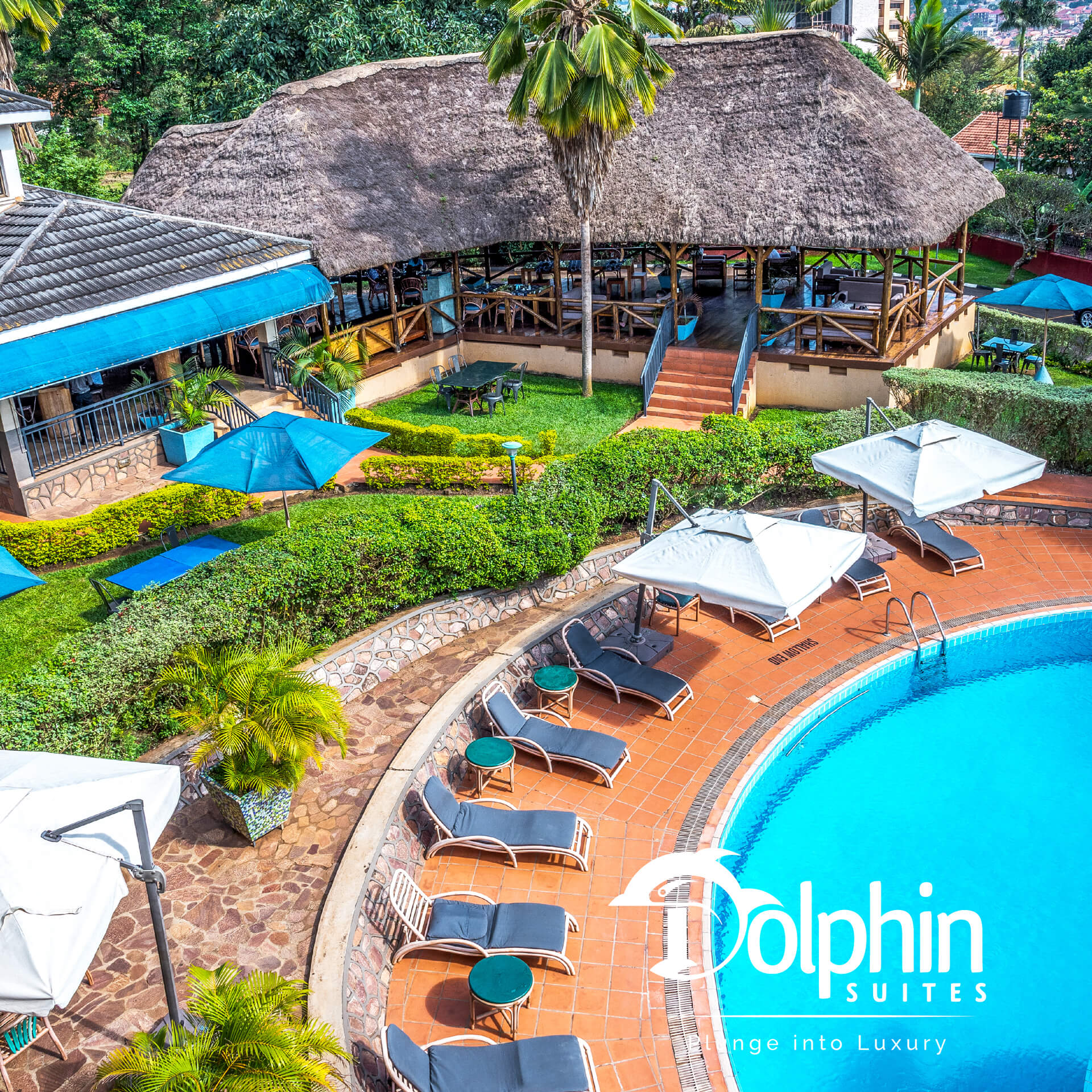 Dolphin Suites  Plunge Into Luxury - Your Premier Destination